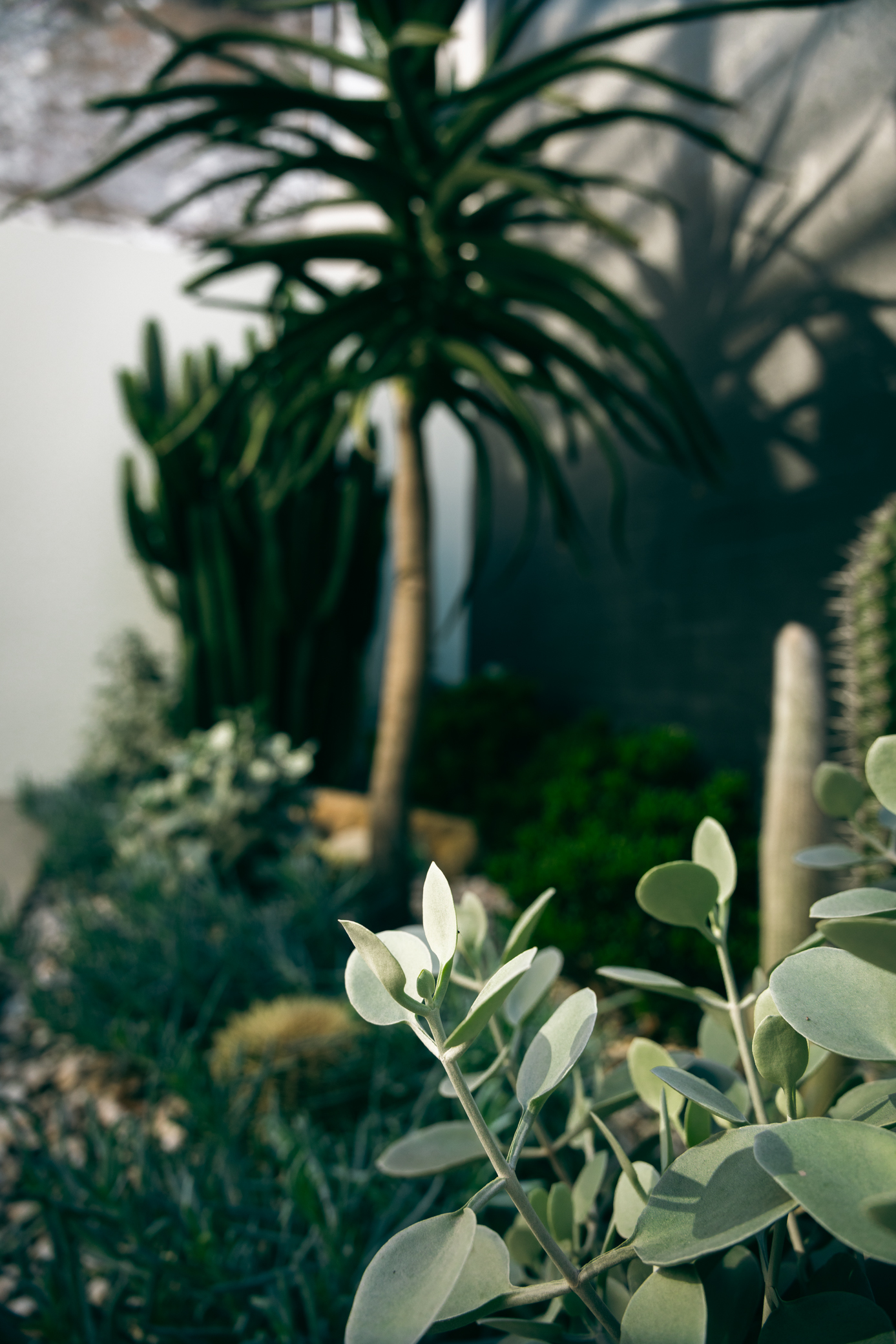 From empty to alive — the same footprint, entirely reimagined.
